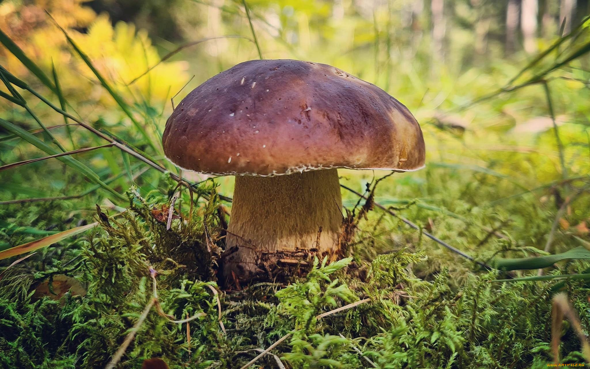 , , , 